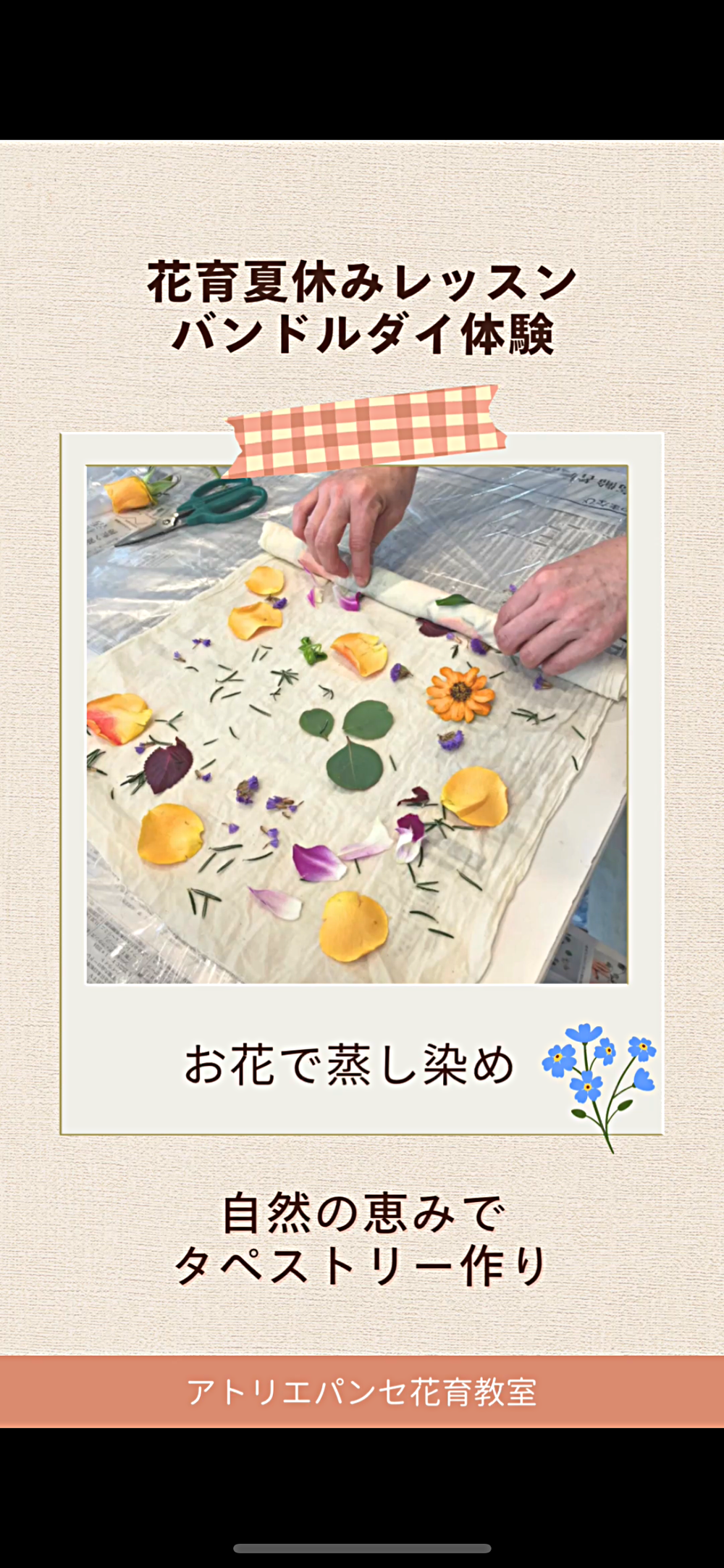 夏休み花育体験！植物の蒸し染めバンドルダイ体験🎵参加者募集中🎵