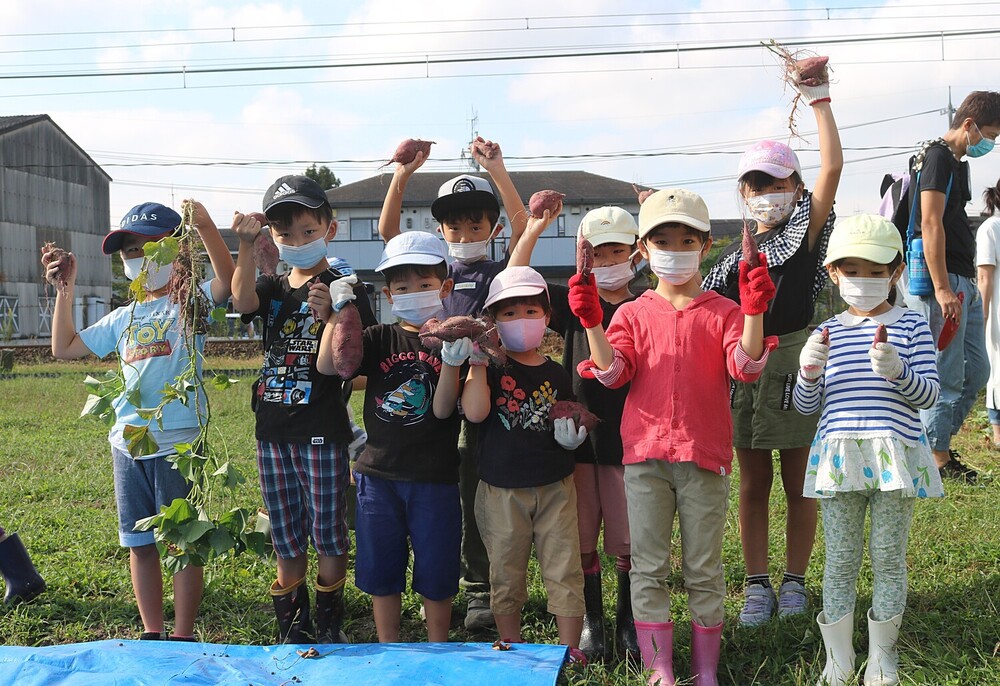 たくさんできるかな　親子で植えようサツマイモ