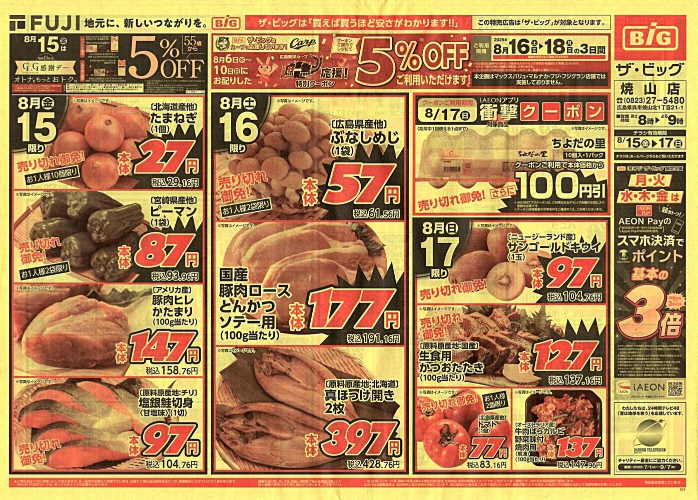 ザ・ビッグ焼山　チラシ