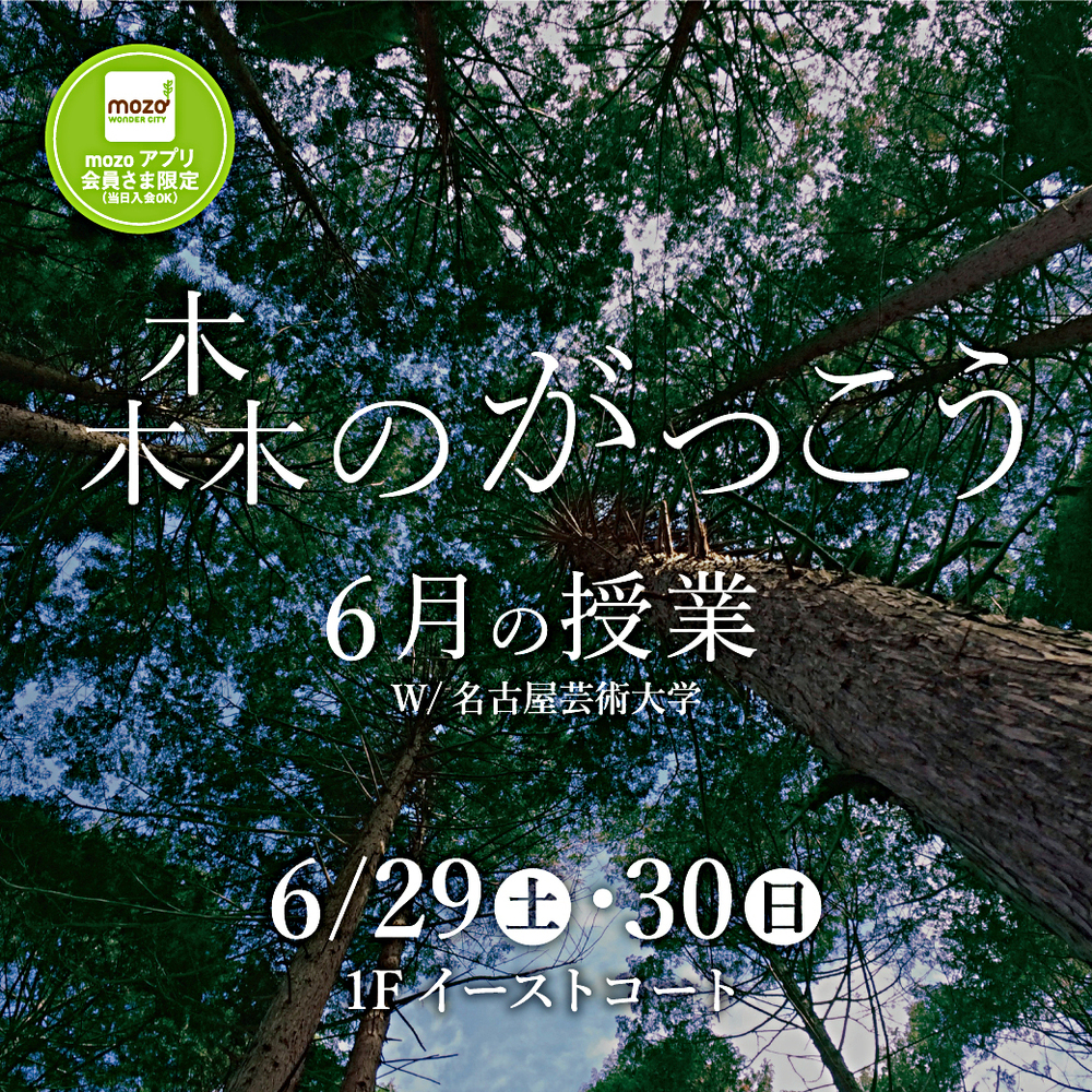森のがっこう～森を知り、森にふれる～