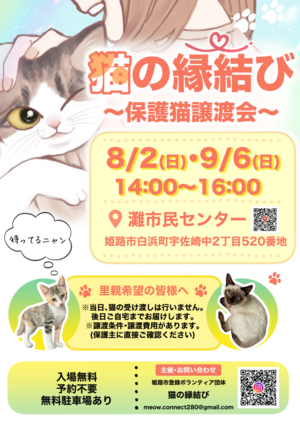 猫の縁結び〜保護猫譲渡会〜