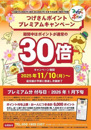 つげさんポイント30倍キャンペーン(11/10から)
