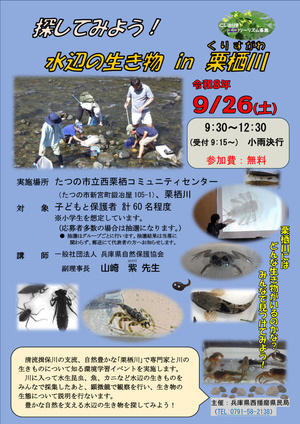 探してみよう！水辺の生き物　in　栗栖川
