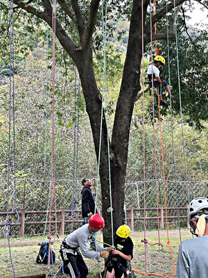 下青野公園パークフェスタ