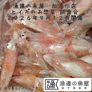 漁連の魚屋 加古川店 ヒイカのお惣菜 試食会