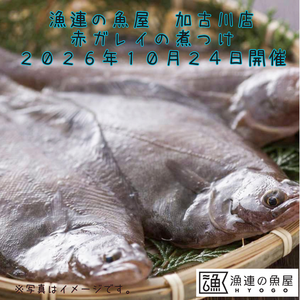 漁連の魚屋 加古川店 赤ガレイの煮つけ 試食会