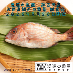 漁連の魚屋 加古川店 天然真鯛のお惣菜 試食会