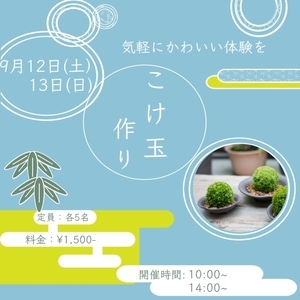 こけ玉づくり