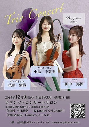 Trio Concert