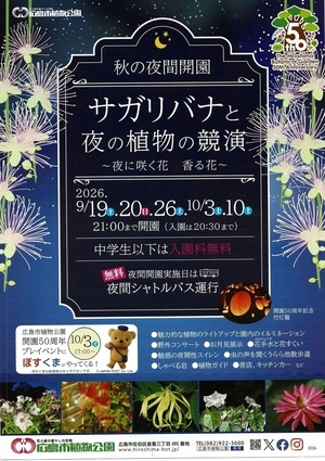 サガリバナと夜の植物の競演