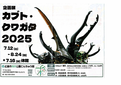 カブト・クワガタ　2025