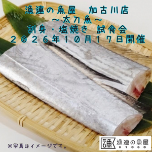 漁連の魚屋 加古川店 太刀魚の刺身・惣菜 試食会