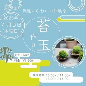 こけ玉づくり