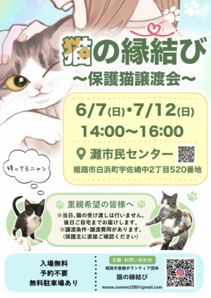 猫の縁結び〜保護猫譲渡会〜