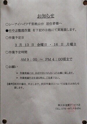 竹やぶ整理作業