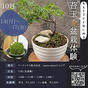 苔玉・ミニ盆栽作り