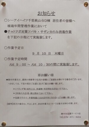 チャドクガ対策ツバキ・サザンカのみ消毒作業