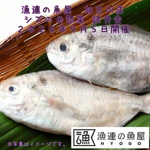 漁連の魚屋 加古川店 シズのお惣菜 試食会