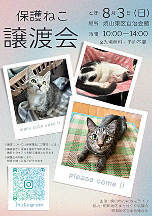 保護猫譲渡会