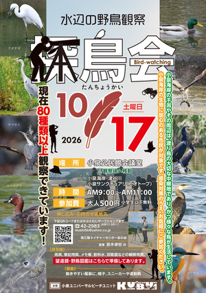 水辺の野鳥観察「探鳥会」2026 Vol.3