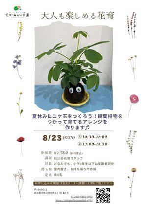 【大人も楽しめる花育】夏休みにコケ玉をつくろう！観葉植物をつかって育てるアレンジを作ります♬
