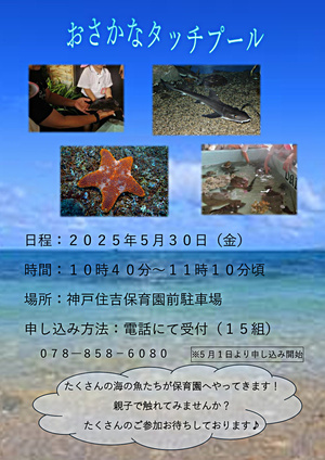 おさかなタッチプールのお知らせ