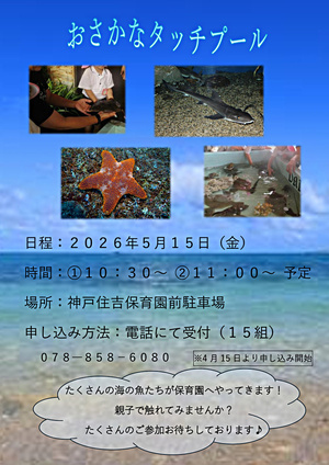 おさかなタッチプール🐟
