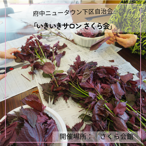 ふれあい・いきいきサロンのようす