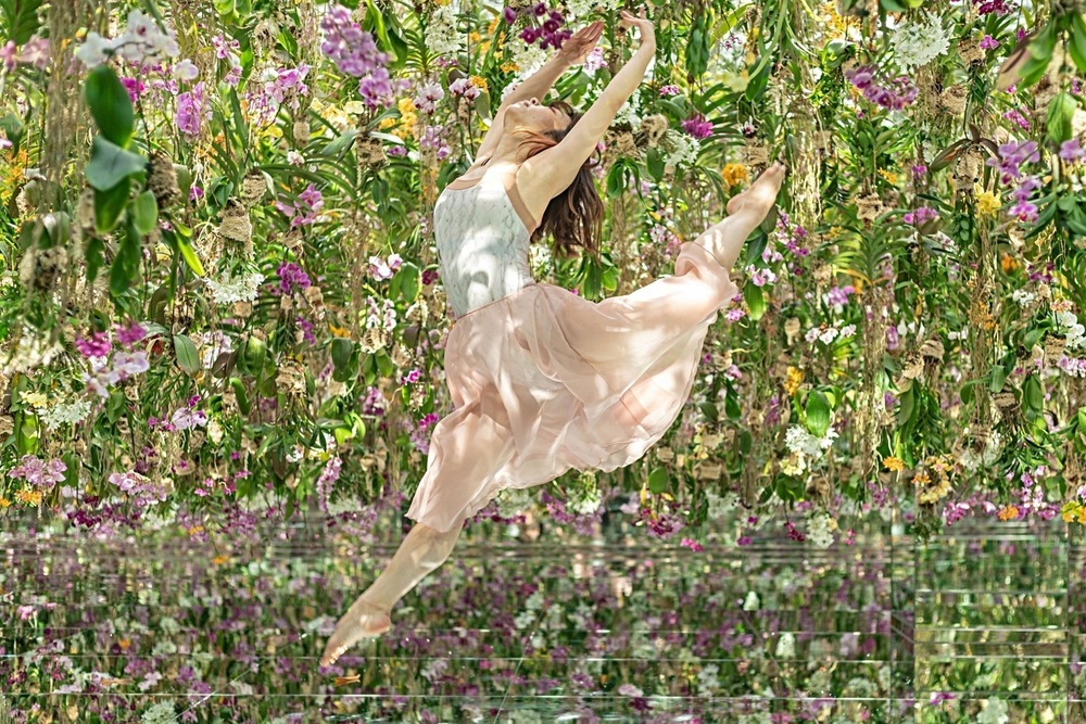 初心者向けバレエ教室、開催決定！