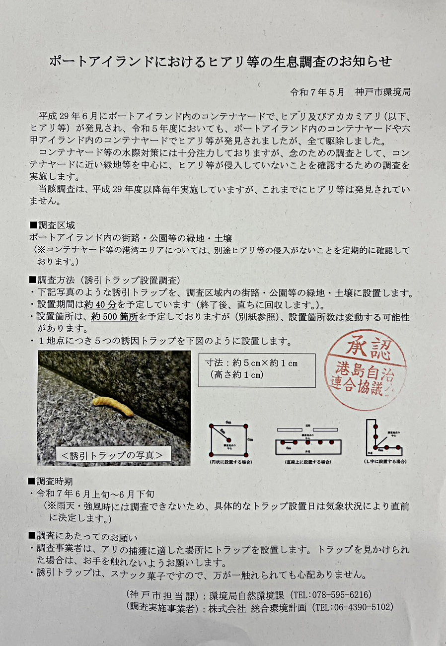 ポートアイランドにおけるヒアリ等の生息調査のお知らせ
