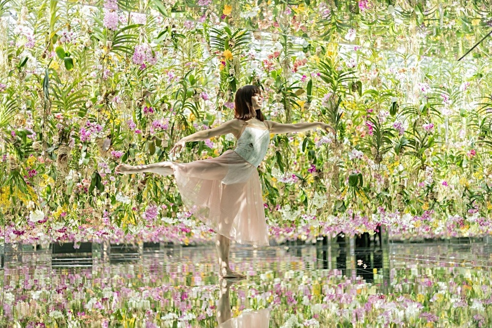 初心者向けバレエ教室、開催決定！