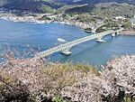 春の大畠瀬戸、周防大島町飯ノ山からの俯瞰