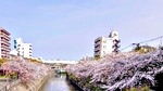 住吉川地域活動協議会