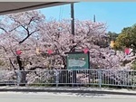 水間寺　2025.4.9