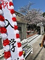 木島小学校　2025.4.7