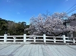 水間寺　2025.4.6