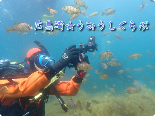 退会したアカウント