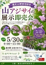 山アジサイの展示即売会