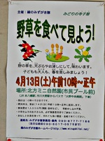 野草を食べてみよう!!