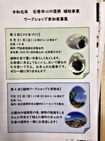 植物ワークショップと育樹会