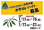 ウラジロガシ集出荷作業のアルバイト募集