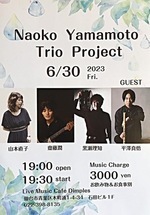 Naoko Yamamoto Trio Project 