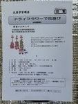 ドライフラワーで花遊び！生涯学習講座のご案内です♪