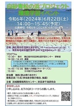 白砂青松の浜づくりプロジェクト参加者募集