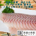漁連の魚屋 加古川店 スズキのお刺身 試食会