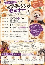 プロが教える！犬のブラッシングセミナー