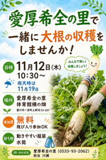 愛厚希全の里で一緒に大根の収穫をしませんか！