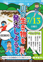 川の生き物を発見しよう！