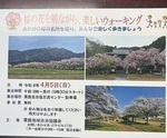 粟鹿　桜ウオーキング　
粟鹿　桜の　名所巡り　ウオーキング