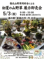 初夏の山野草　展示即売会